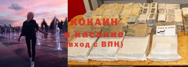 индика Алексин