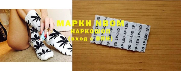 apvp Алзамай