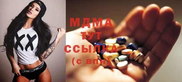 индика Алексин
