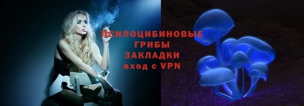 apvp Алзамай