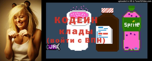 индика Алексин