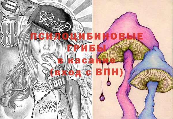 шишки Алексеевка
