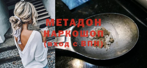 индика Алексин