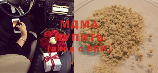 индика Алексин